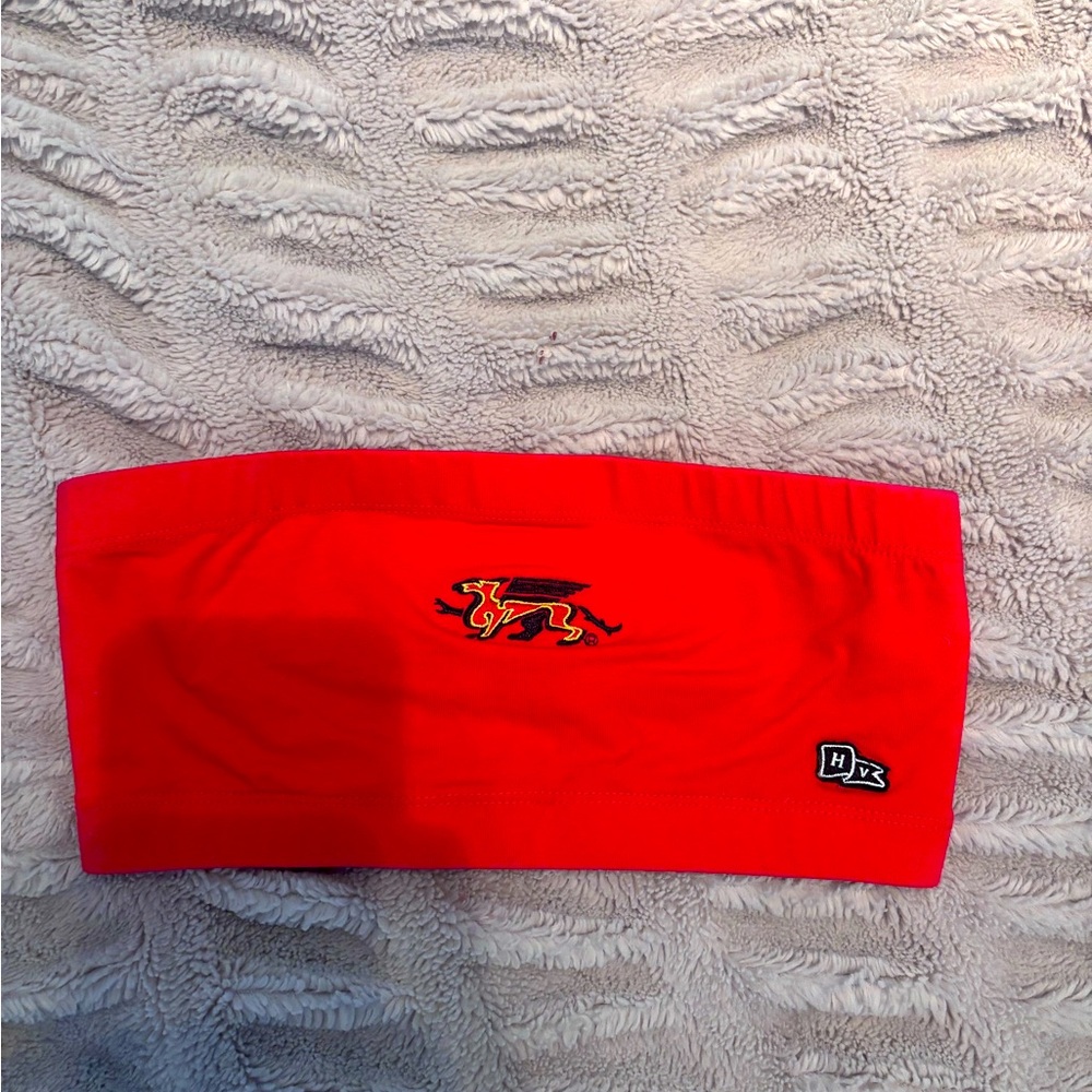 guelph gryphons tube top